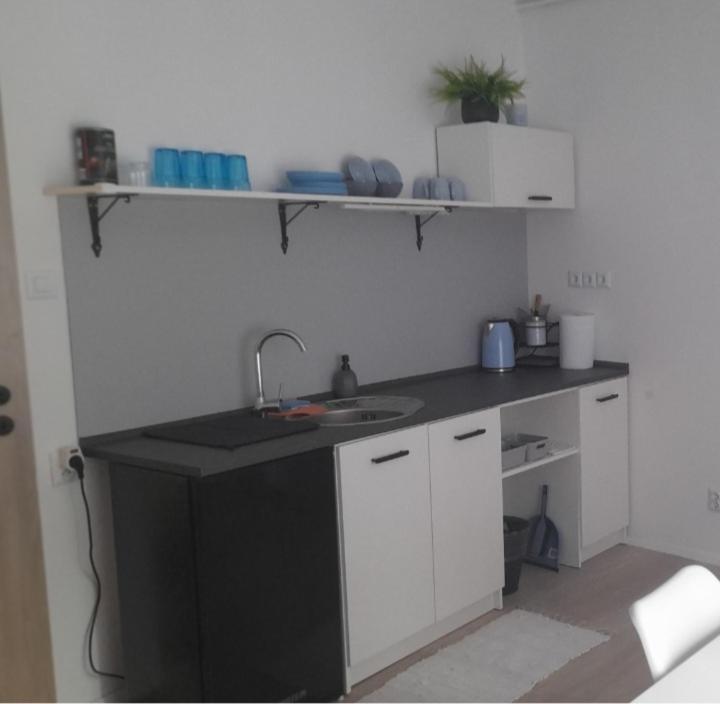 Apartman Centro Česká Lípa Dış mekan fotoğraf